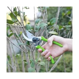 WORKPRO W151010 Juego de herramientas para podar ramas y_7