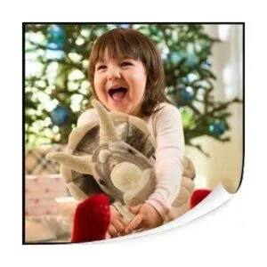 Animales de peluche de dinosaurio de la pasión adorables_7