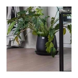 Paquete de 16 platillos para macetas de 12 pulgadas_6