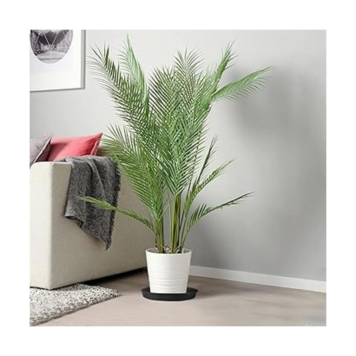 Paquete de 16 platillos para macetas de 12 pulgadas_7