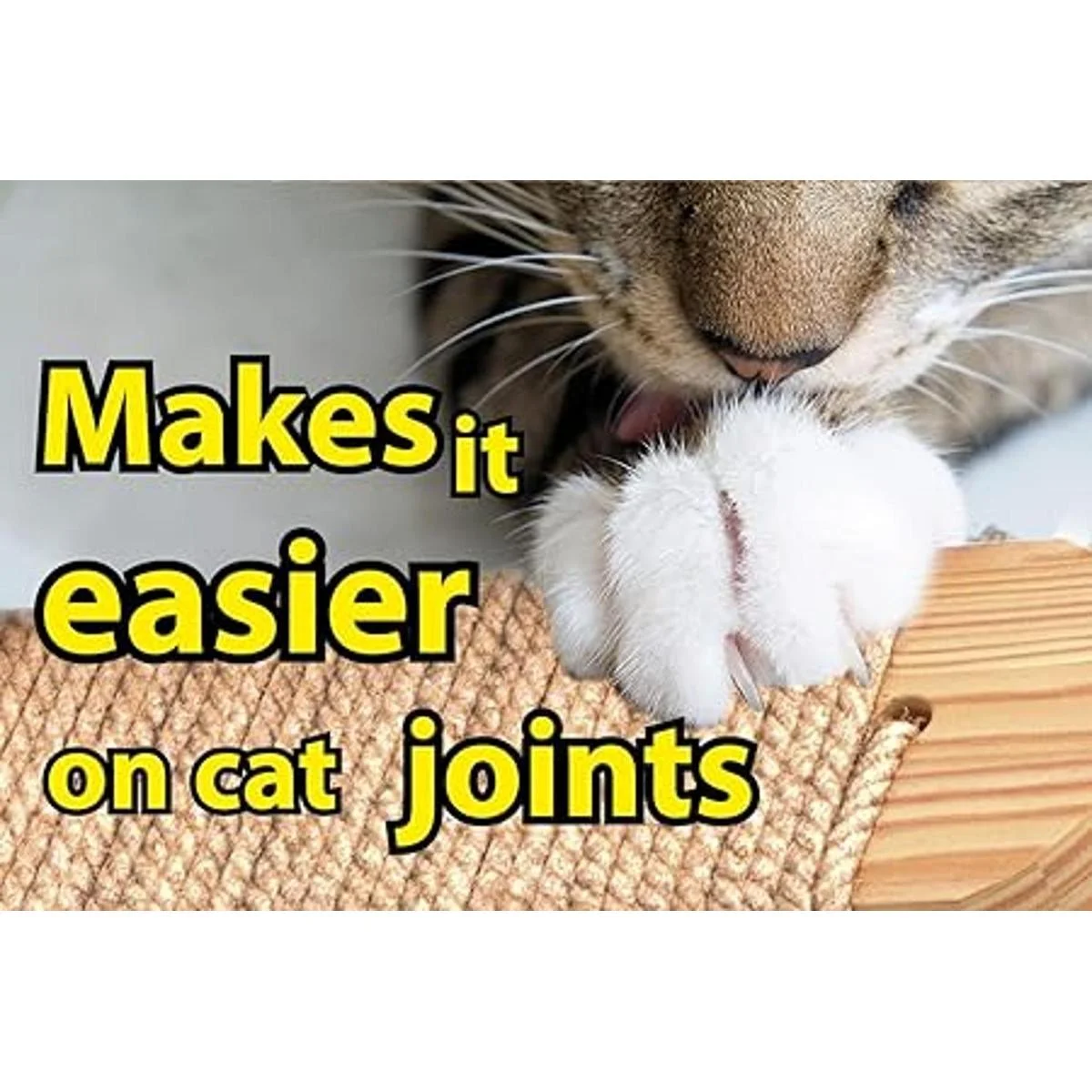 Skywin Cat Steps Escaleras de pared de gato de madera de_5