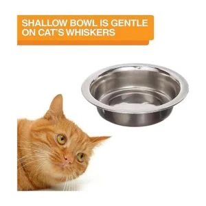 Neater Feeder Express Elevated Cat Bowls Raised Pet Dish_5