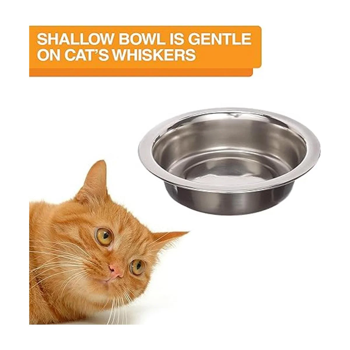 Neater Feeder Express Elevated Cat Bowls Raised Pet Dish_5