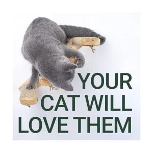 Skywin Cat Steps Escaleras de pared de gato de madera de_2