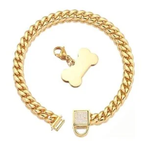 Collar de cadena para perro dorado con hebilla segura con_2