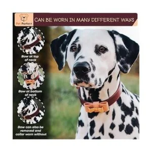 Pet Perfect Collar de perro rosa Collar de perro de_3