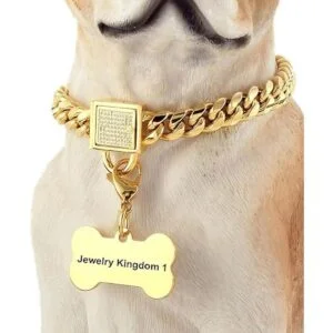 Collar de cadena para perro dorado con hebilla segura con_1