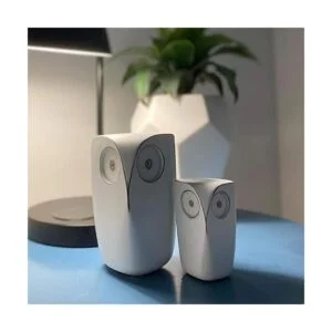Huey House Wise Owls Decor Esculturas de estatua buho_5