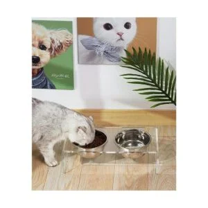 Acrylic Elevated Dog and Cat Pet Feeder Raised Clear_6