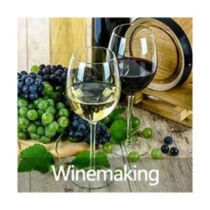 Controlador de temperatura digital de 2 etapas de salida_6