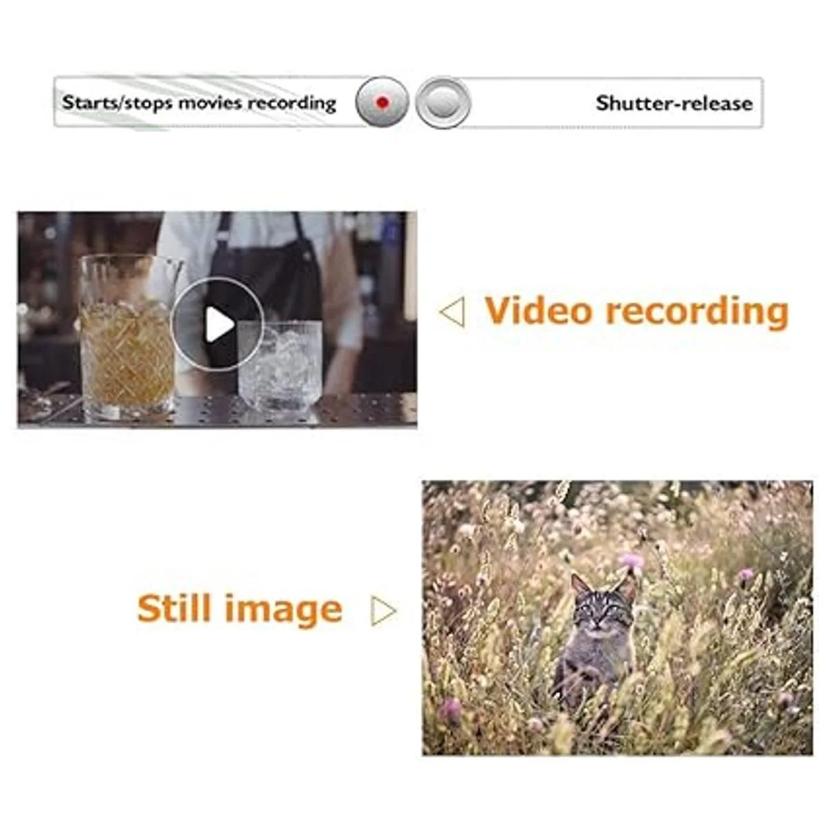 PHOLSY Mando a distancia inalámbrico para Nikon Z50_5