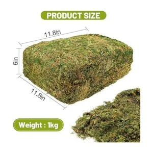 Musgo artificial de gran capacidad de 35 onzas para_4