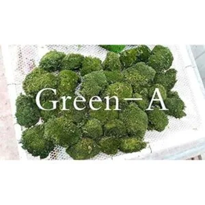 Prefleur Cojín de musgo preservado de poste verde natural_4