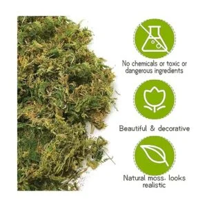 Musgo artificial de gran capacidad de 35 onzas para_2