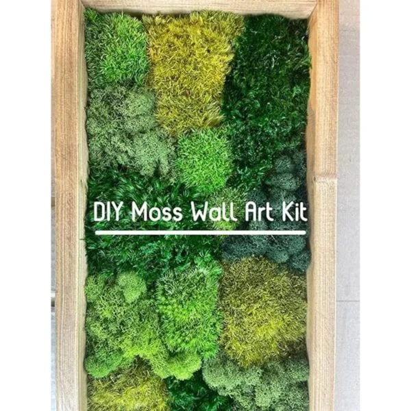 Prefleur Cojín de musgo preservado de poste verde natural_6