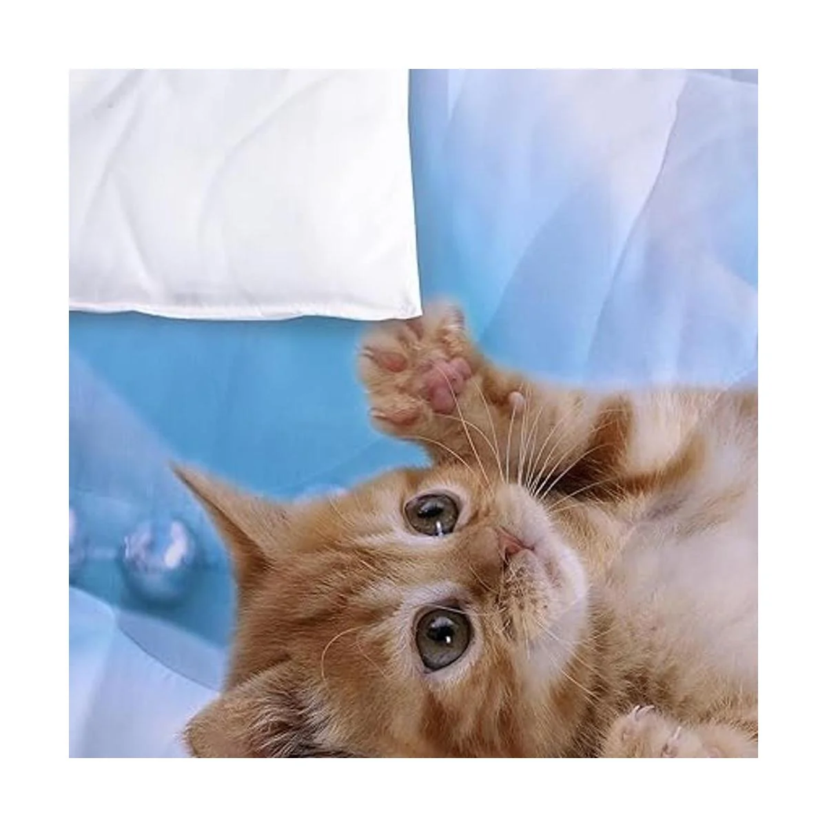 Yasida Juego de edredón para gatos tamaño individual para_6