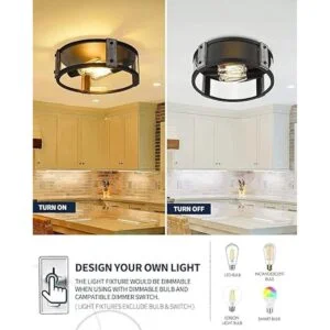 HANASS MX99986 Lámpara de techo de vidrio de 2 luces_6