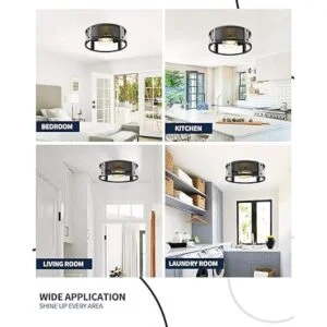 HANASS MX99986 Lámpara de techo de vidrio de 2 luces_4