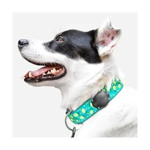 TagVault Pet el soporte de collar impermeable para Apple_3