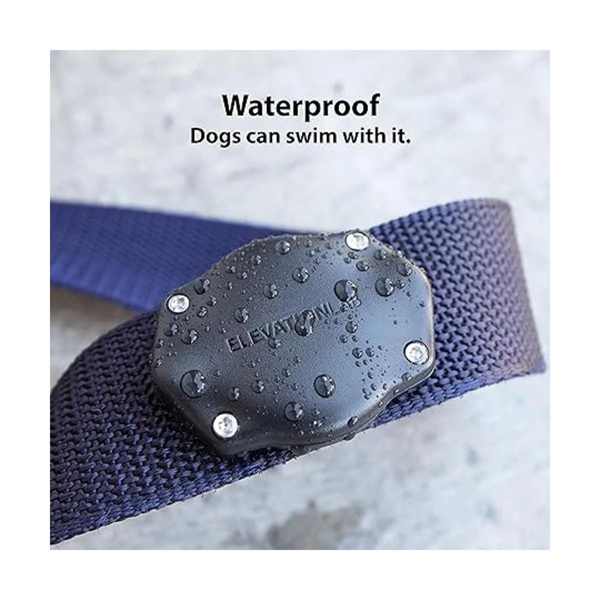 TagVault Pet el soporte de collar impermeable para Apple_4