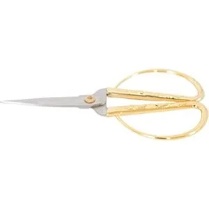 Tijeras y tijeras de podar para plantas de interior de_1