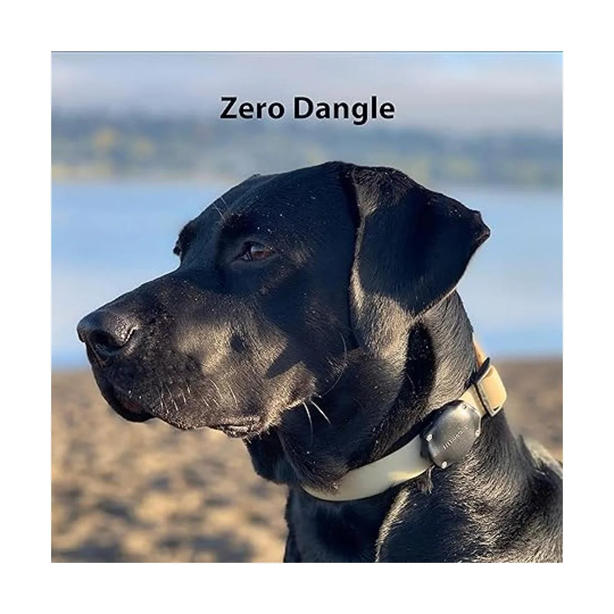 TagVault Pet el soporte de collar impermeable para Apple_6