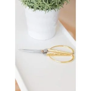 Tijeras y tijeras de podar para plantas de interior de_2