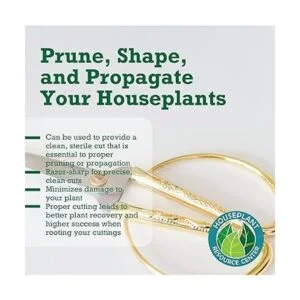 Tijeras y tijeras de podar para plantas de interior de_6