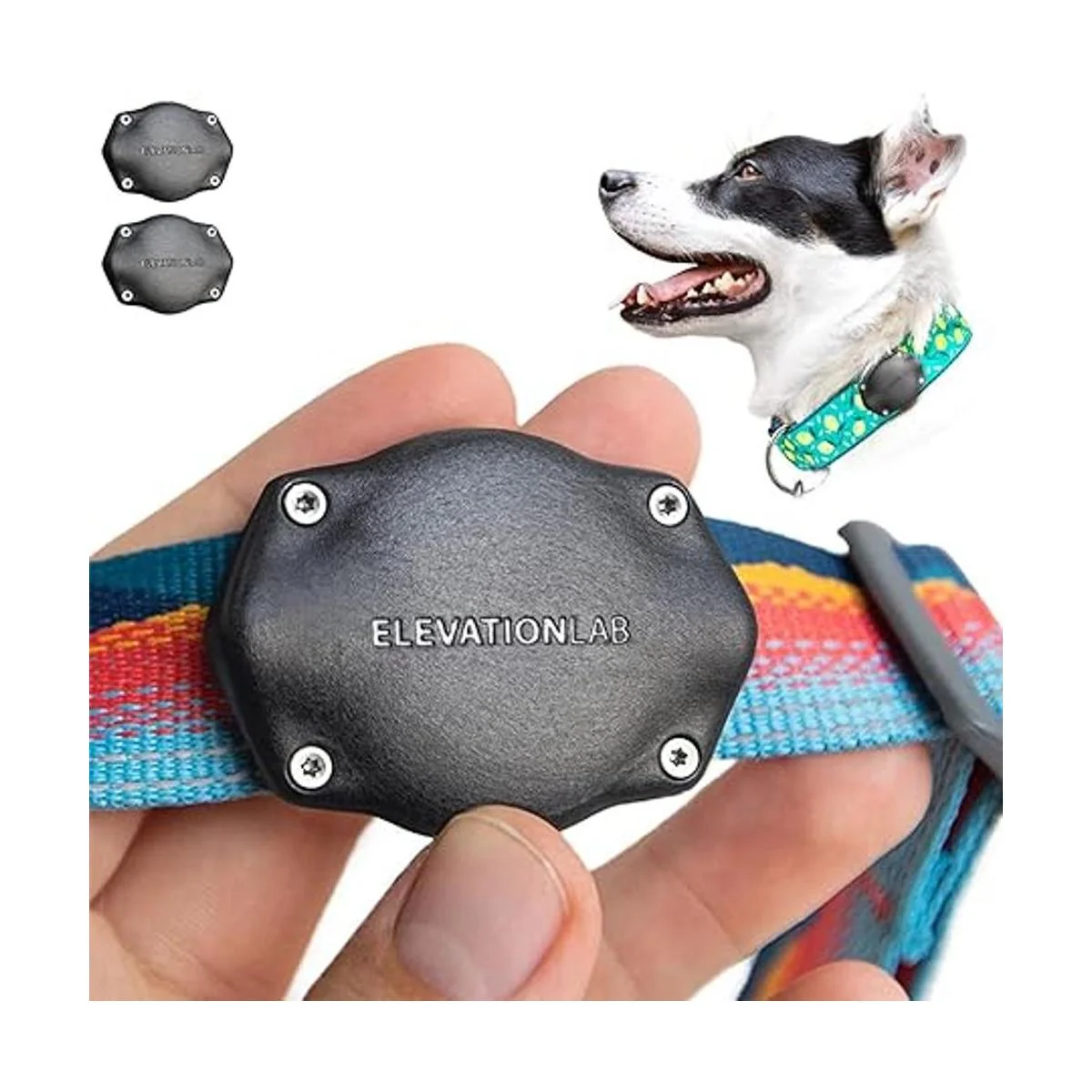 TagVault Pet el soporte de collar impermeable para Apple_1