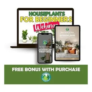 Tijeras y tijeras de podar para plantas de interior de_3