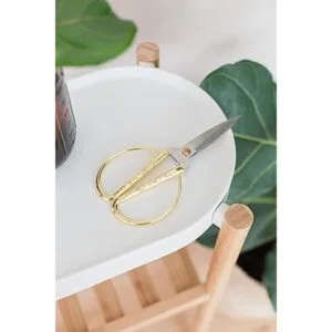 Tijeras y tijeras de podar para plantas de interior de_4