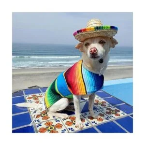 Paquete de 3 juguetes masticables para perros de fiesta_4