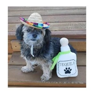 Paquete de 3 juguetes masticables para perros de fiesta_5