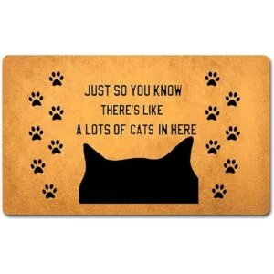 Divertidos tapetes de bienvenida para puerta delantera_1