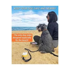 DIGGO Estaca para perros accesorio esencial de playa para_2