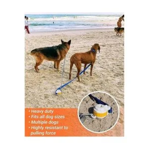 DIGGO Estaca para perros accesorio esencial de playa para_3