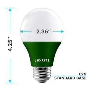 Luxrite Bombilla LED verde A19 equivalente a 60 W no_4