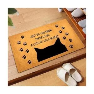 Divertidos tapetes de bienvenida para puerta delantera_5