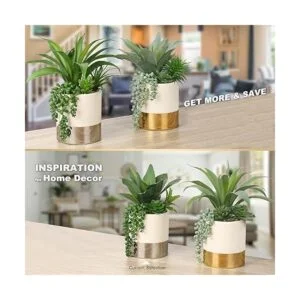 Plantas suculentas artificiales grandes de 12 pulgadas_6