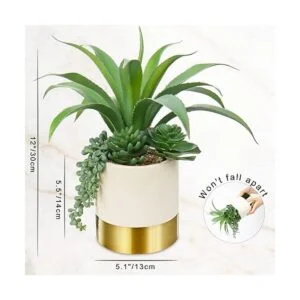 Plantas suculentas artificiales grandes de 12 pulgadas_3