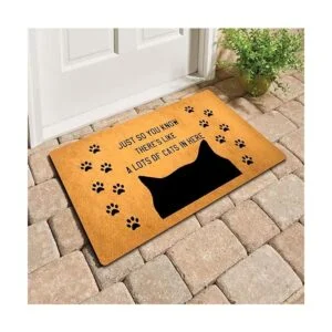 Divertidos tapetes de bienvenida para puerta delantera_2