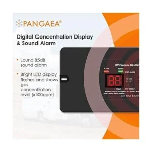 PANGAEA Detector digital de gas propano RV con alarma_3
