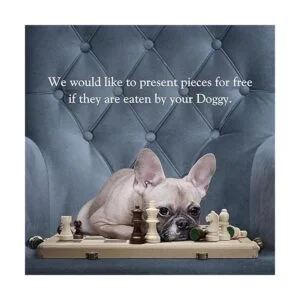 AA Juego de ajedrez magnético plegable de madera de 15_2