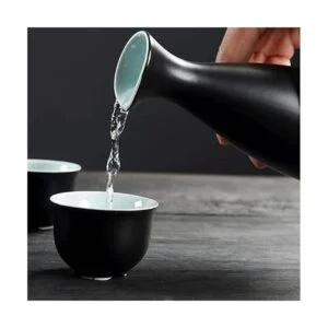 WINIAER Juego de sake de cerámica con olla calentadora_5