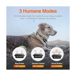 ROJECO Collar de entrenamiento para perros con control_2