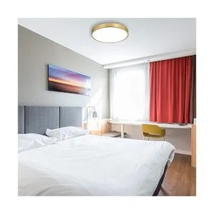 SOTTAE Lámpara de techo LED de montaje empotrado de oro_5