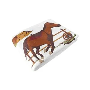 Sweet Jojo Designs Wild West Cowboy Boy Milestone Manta_6