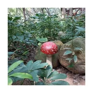 Decoración de hongos para jardín al aire libre decoración_6