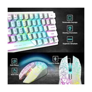 ZIYOU LANG T61 Combo de teclado y mouse inalámbricos para_5