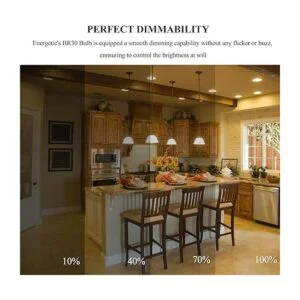 Energetic Paquete de 12 bombillas empotrables BR30 para_3